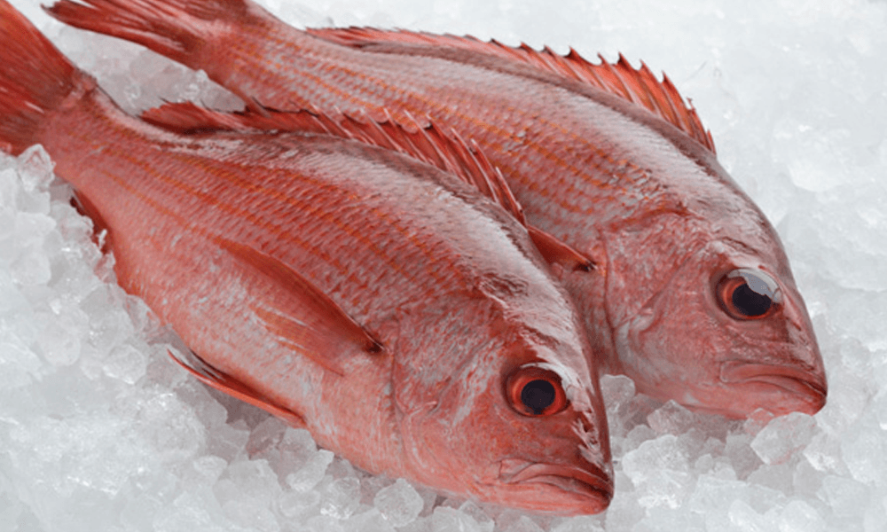 Fish - Montego's Food Market