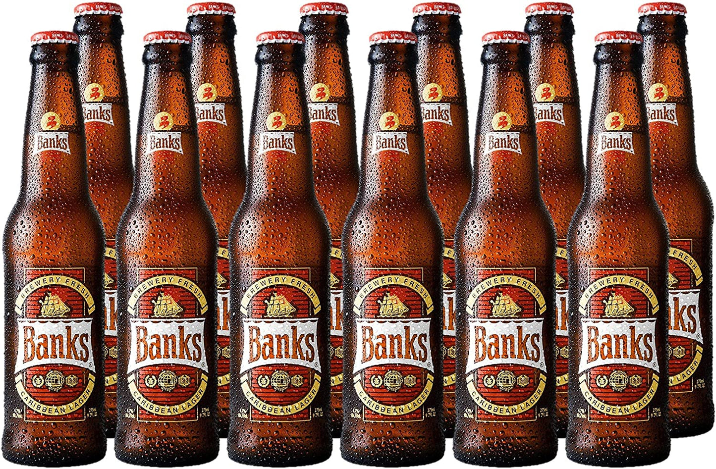 Banks Case (Caribbean Lager) - 24
