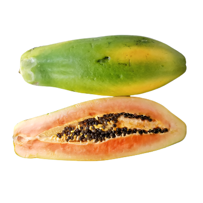 Montego’s Papaya