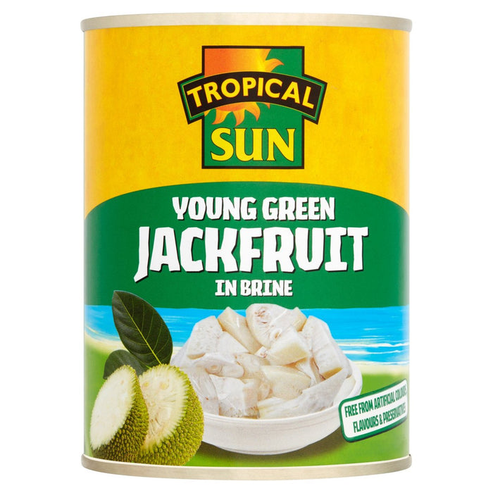 Tropical Sun Green Jackfruit (560g)