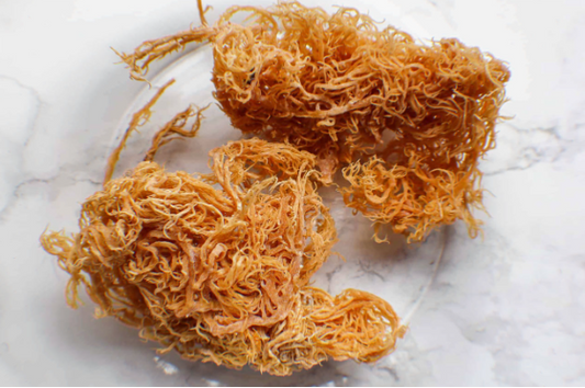 Caribbean Gold Gold Sea Moss (100g)