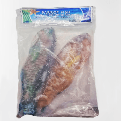 Frozen Whole Parrot Fish (1kg) - Montego's Food Market 