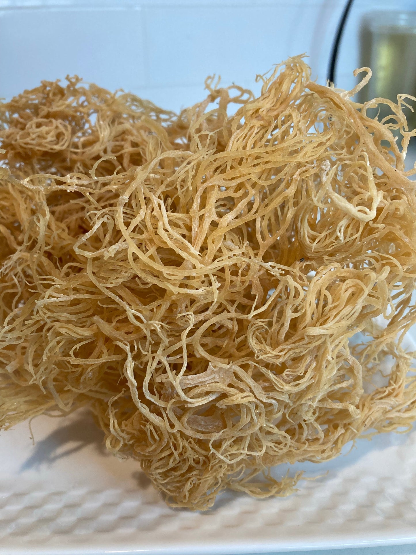 Caribbean Gold Gold Sea Moss (100g)