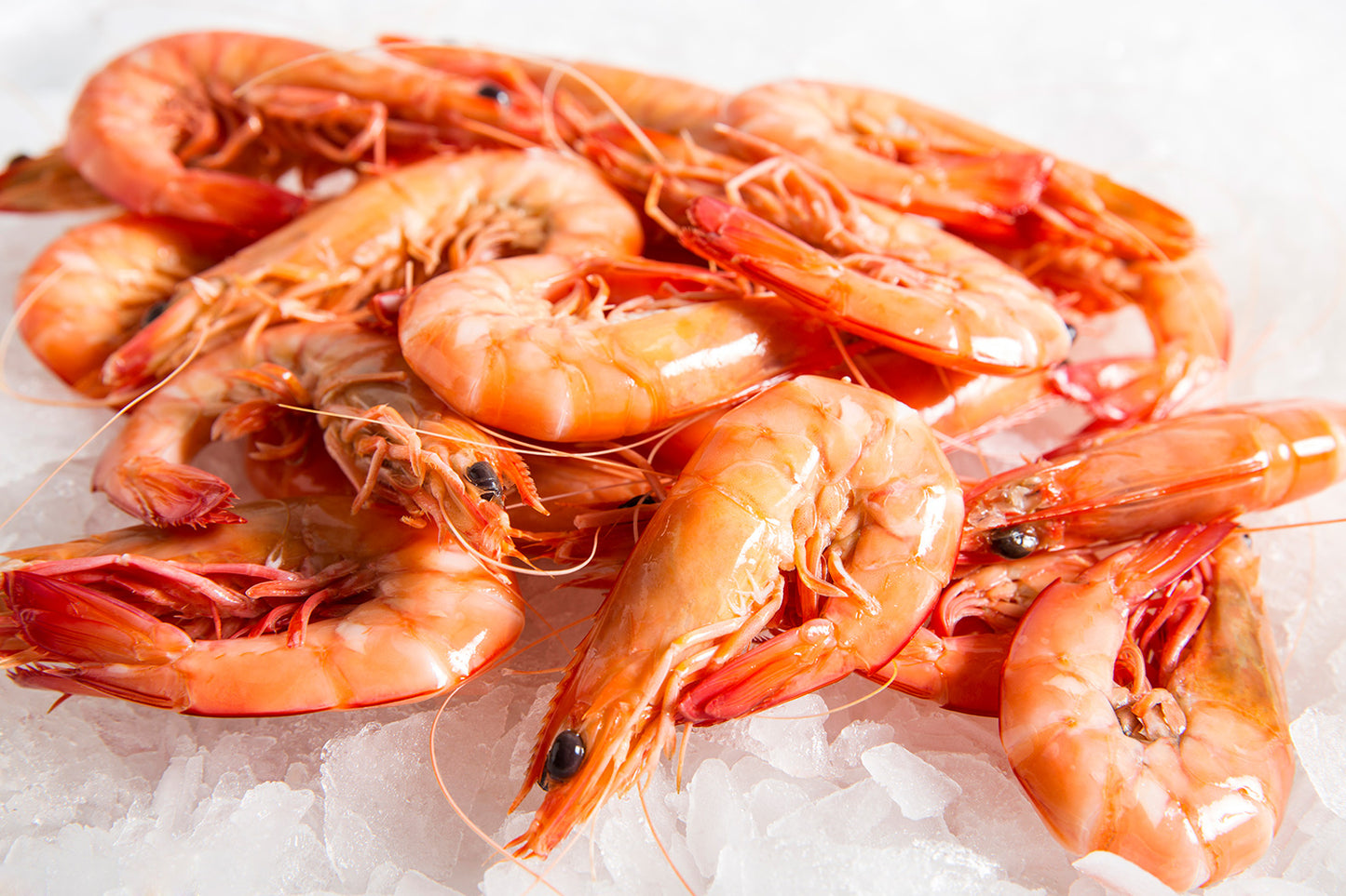 Zed Exotics King Prawns (300G)