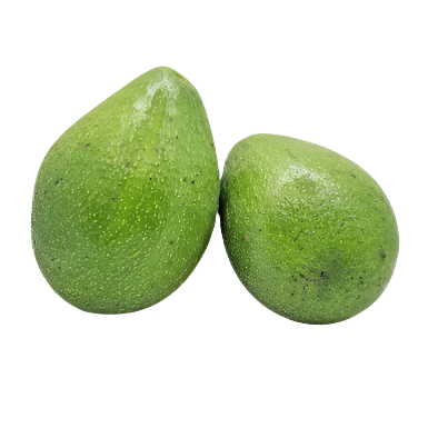 Montego's Avocado (Jamaican)