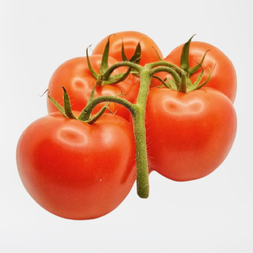 Montego's Vine Tomatoes