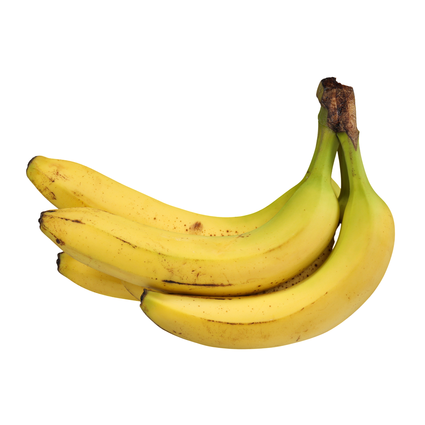 Montego's Bananas