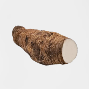 Coco Yam