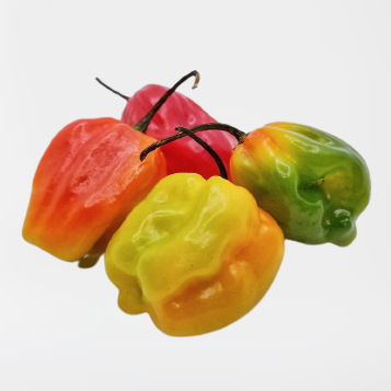 Montego's Scotch Bonnet Pepper