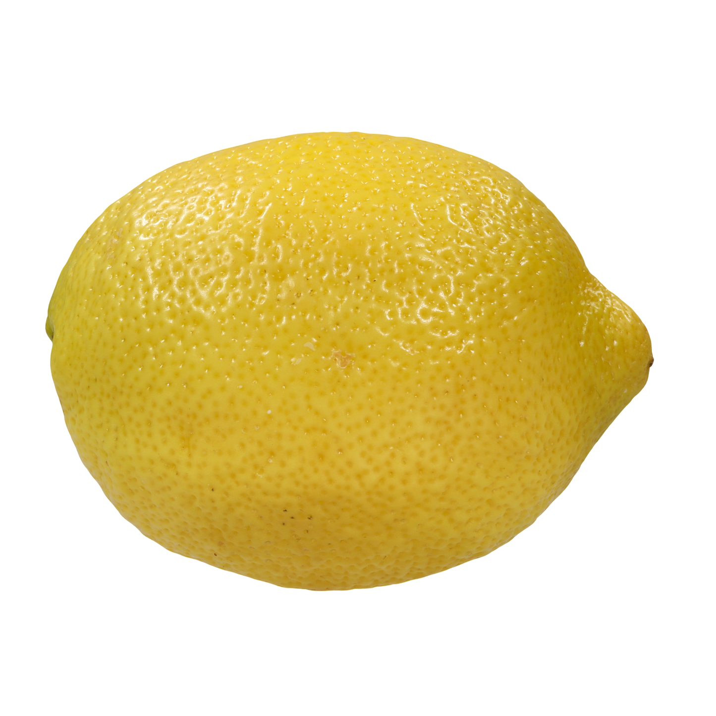 Montego's Lemon