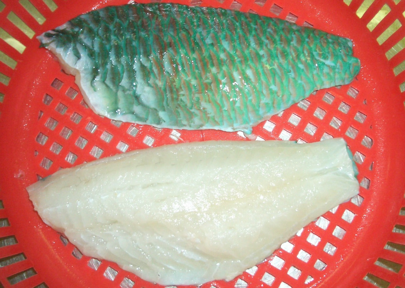 Frozen Sliced Parrot Fish (800g)